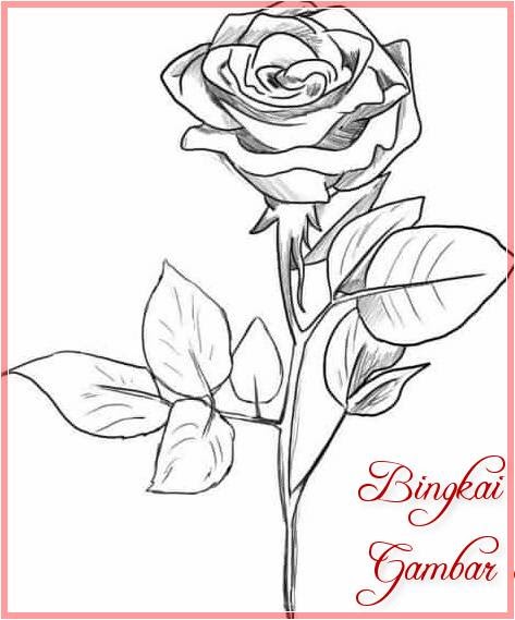  Sketsa  Gambar Bunga  Mawar  Yang  Mudah  Digambar  Koleksi 