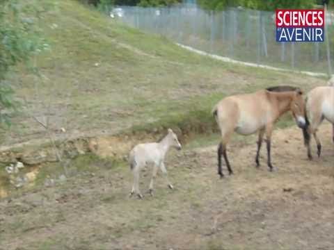 Visite en camion du Zoo de Thoiry