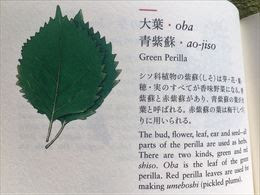 【人気ダウンロード！】 シソ 英語で 161817-しそ 英語で