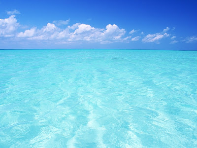 [ベスト] 海の中 壁紙 pc 149578-海の中 壁紙 pc
