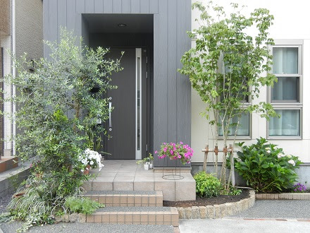 すべての美しい花の画像 新鮮な玄関 ポーチ 植物