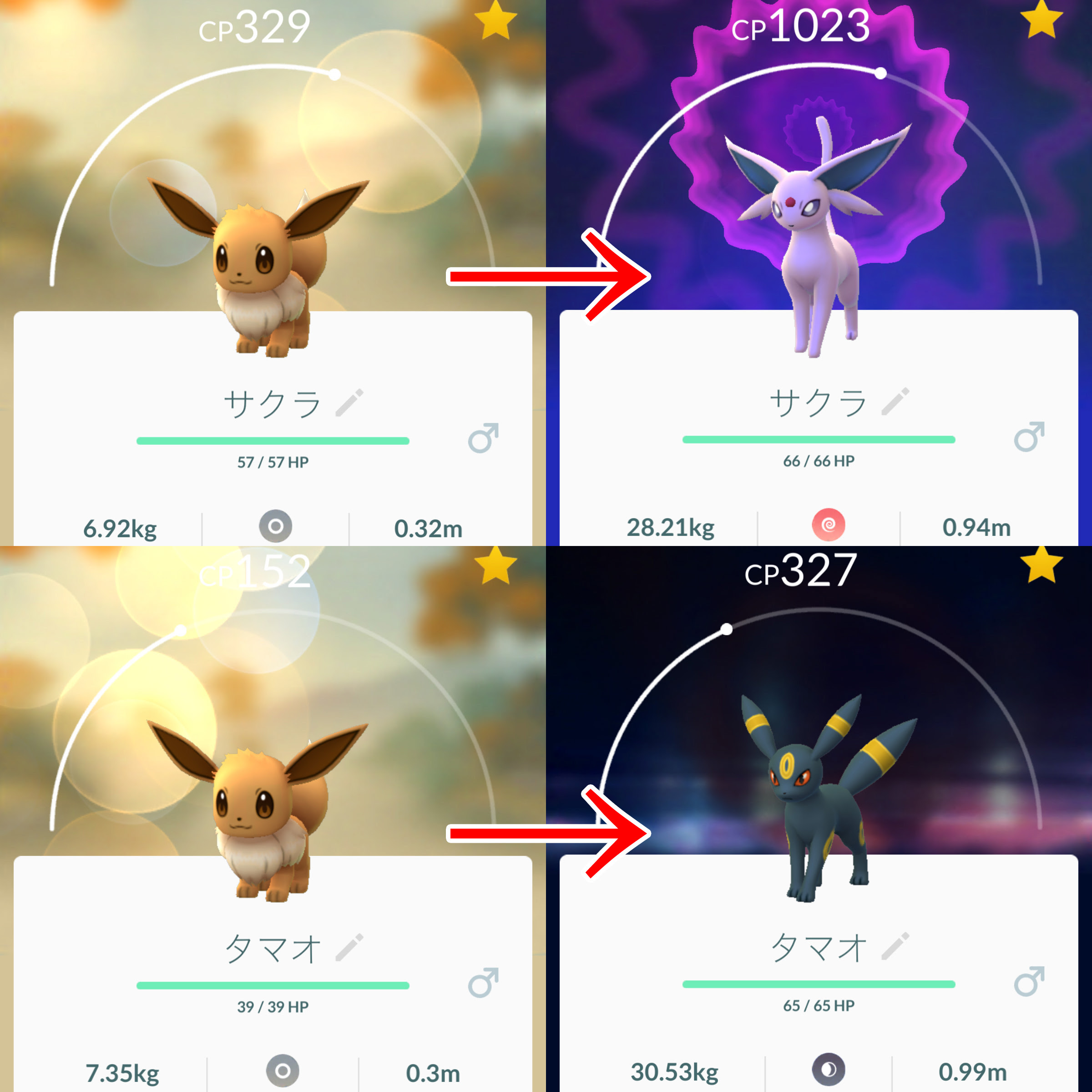 100 ポケモン Go ブラッキー 100 で最高の画像