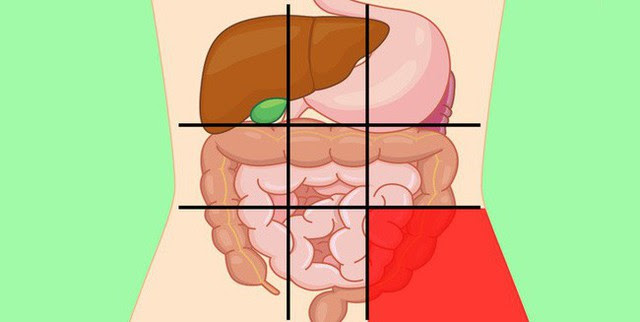 Nhờ bản đồ bụng này mà bạn sẽ biết các cơn đau ở mỗi vị trí trên bụng là do nguyên nhân nào gây ra - Ảnh 9.