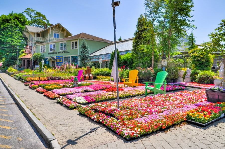 Maybe you would like to learn more about one of these? Larchmont Nurseries And Construction