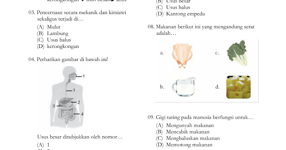  Soal  Kelas  5  Ipa Materi Sistem Pencernaan Manusia  Dan  