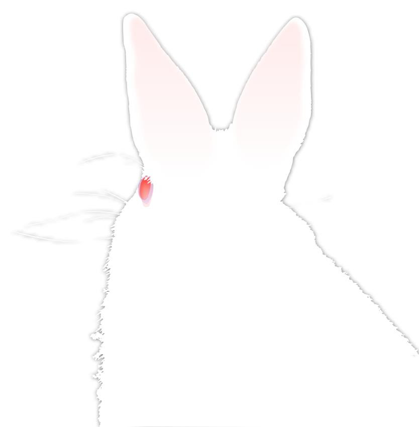 50 リアル うさぎ 後ろ姿 イラスト ただのディズニー画像