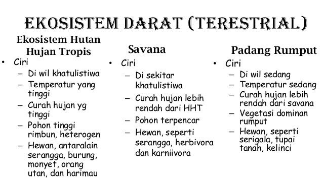 Contoh Ekosistem Di Sekitar Lingkungan Tempat Tinggal 