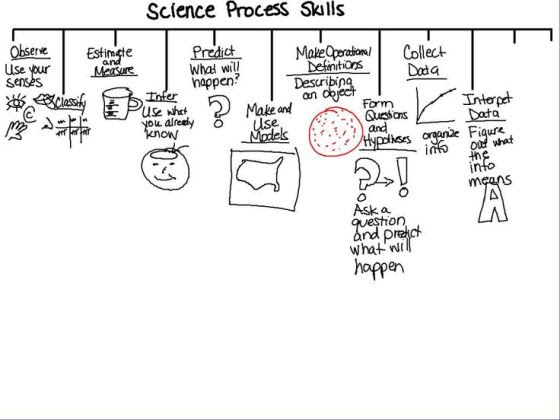 fee9361f6eb82cbbb167a0e270032cd4--interactive-science-notebooks-science-journals.jpg