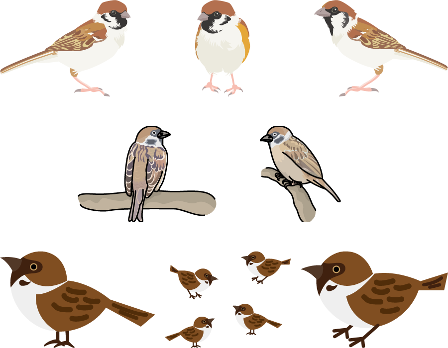 0以上 かわいい すずめ イラスト フリー ただの動物の画像