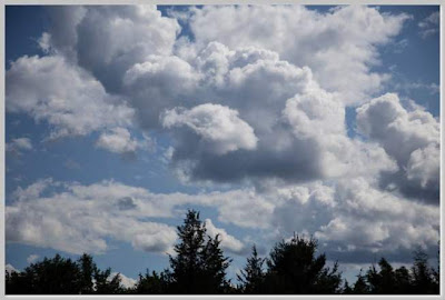 Characteristics of Cumulus Clouds | Actforlibraries.org