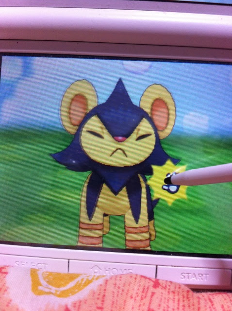 これまでで最高のポケモン Bw パーティ 序盤 ディズニー画像のすべて