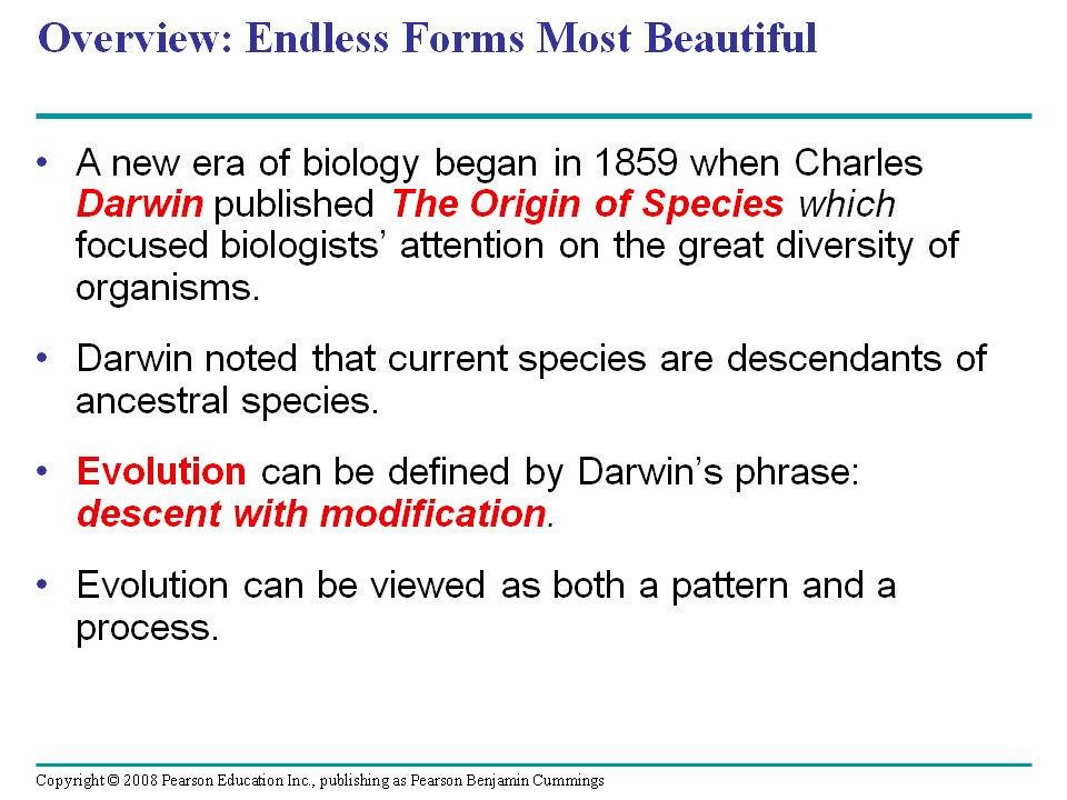 This modification with descent phrase is used in several contexts, including main headings in the origin. Descent With Modification A Darwinian View Of Life Presentation Biology