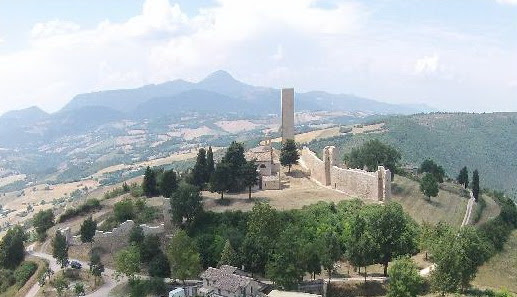 Risultati immagini per pitino torre