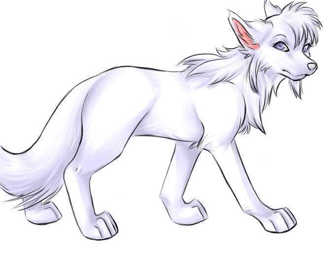 #gif #гиф #гифки #anime #animation #screenanime #animelimited #screenanime #wolfsrain #wolfsrain. Awesome White Anime Wolf Amazing Wolves Photo 36709418 Fanpop