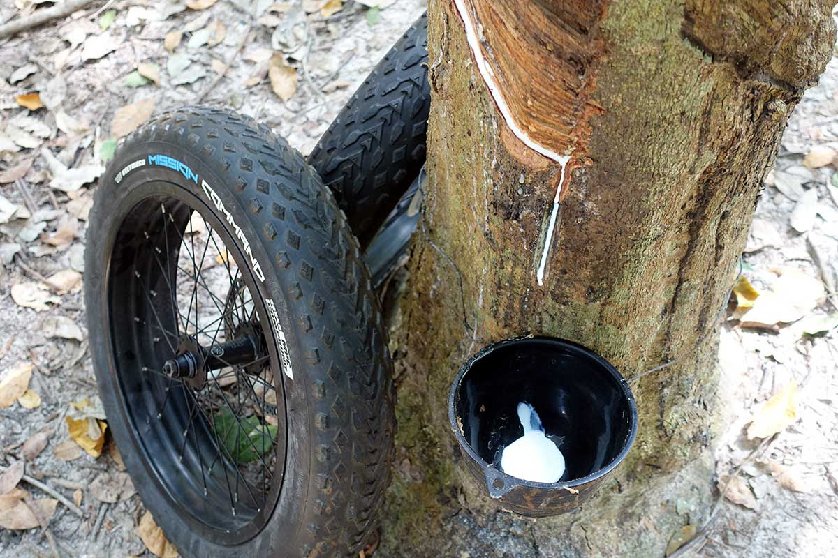 It has made it difficult for schools to buy enough laptops for students forced to learn from home, delayed the release of popular products. Vee Tire Co Factory Tour Part 1 From Tree To Tire This Is Where Rubber Comes From Bikerumor