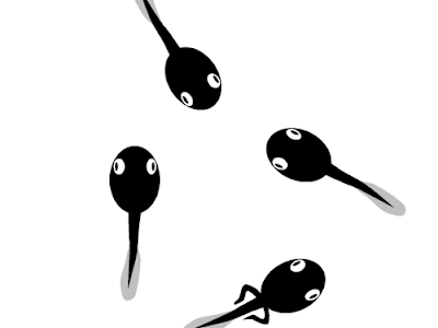 √画像をダウンロード おたまじゃくし イラスト かわいい 102781-オタマジャクシ イラスト かわいい