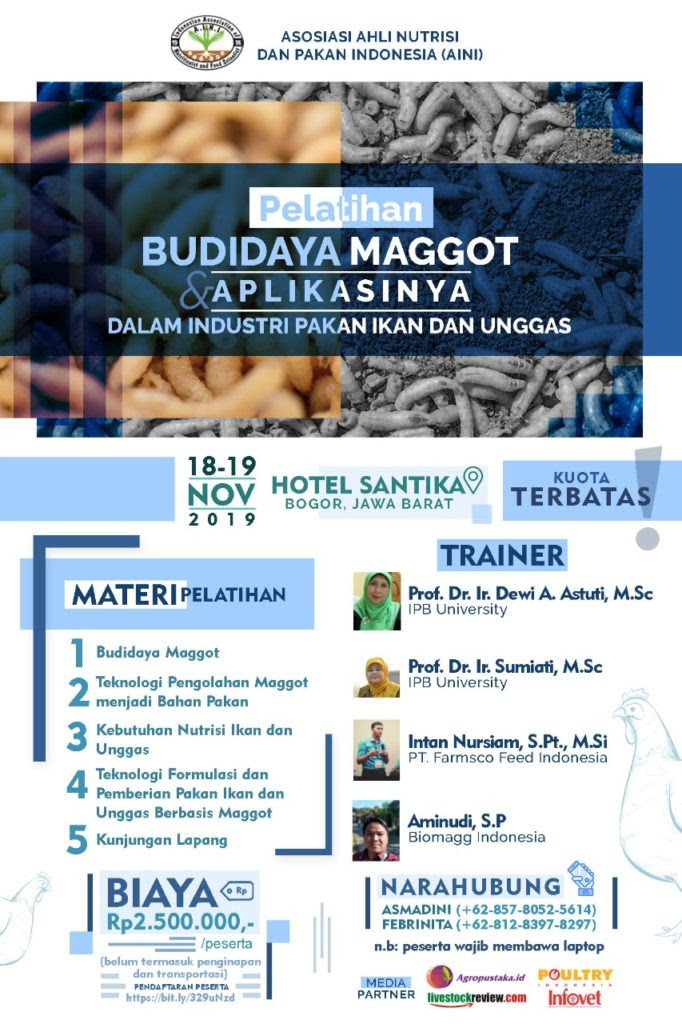 Budidaya maggot bsf for android apk download. Pelatihan Aini Budidaya Maggot Dan Aplikasinya Dalam Industri Pakan Ikan Dan Unggas Agropustaka
