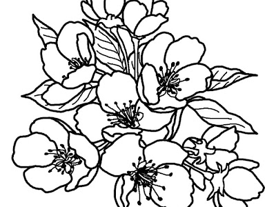 [最も共有された！ √] 桃の花 イラスト 無料 白黒 296562-桃の花 イラスト 無料 白黒
