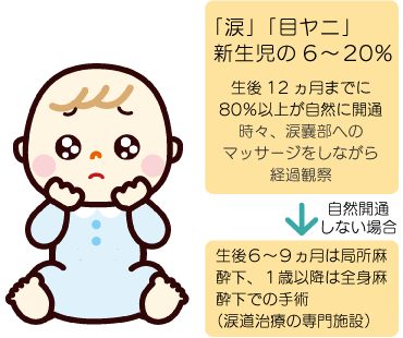 涙イラスト 涙イラスト フリー Muryosoftware