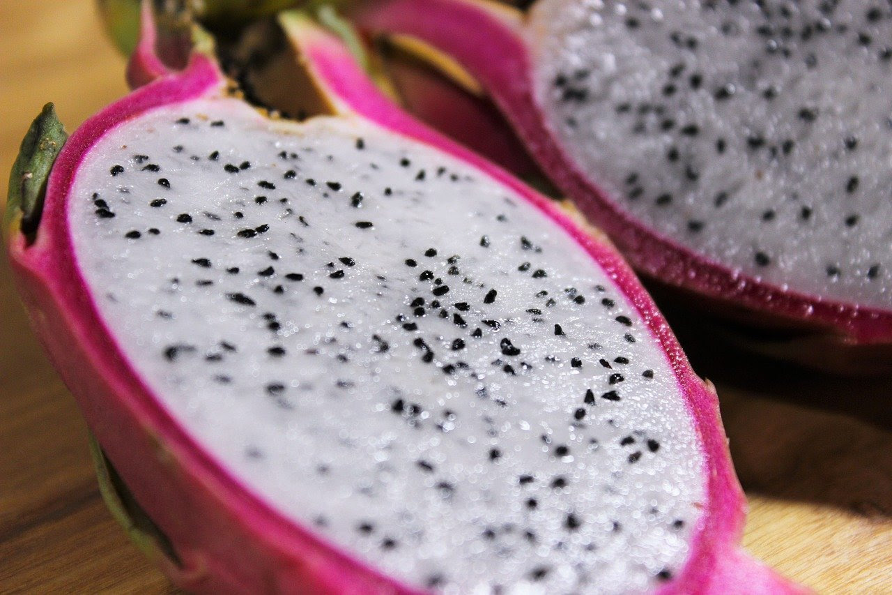 Countries in central america like dogs can safely eat red dragon fruit. Can Rabbits Eat Dragon Fruit Four Paw City