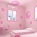 Baru Cat Duco Warna Pink, Cat Rumah 2020