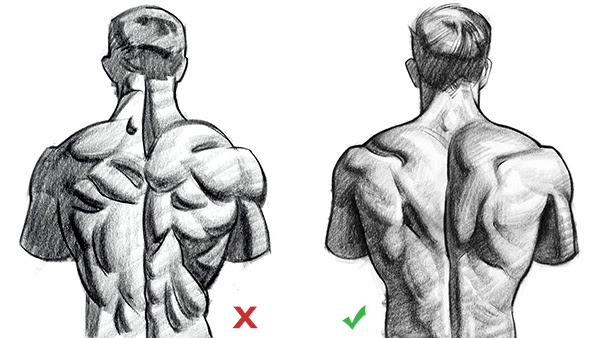Men back muscles reference, a one month treadmill workout to get you back in shape. Muscles Drawing Beautiful Art Drawing Skill