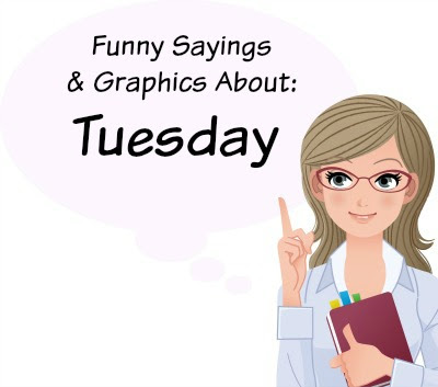 If you eat tacos, you can make it taco tuesday. 15 Sayings And Quotes About Tuesday