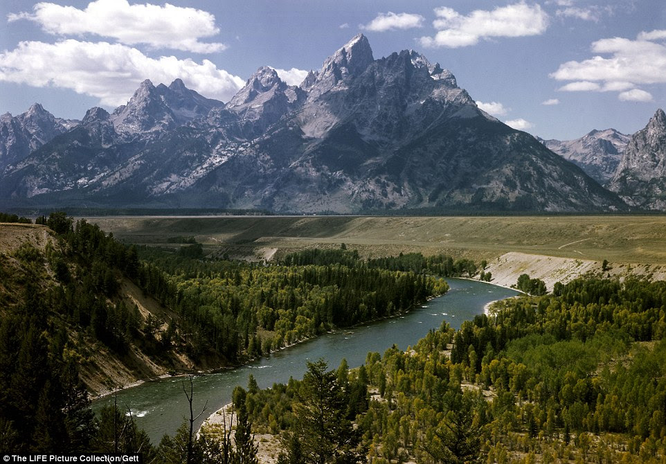 Better than skyscrapers: The Snake River with the incredible Grand Tetons casting a striking shadow in the background