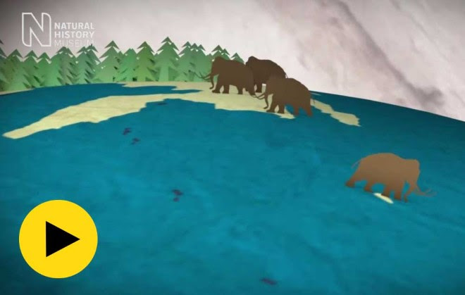 Video showing why Mammoths died out