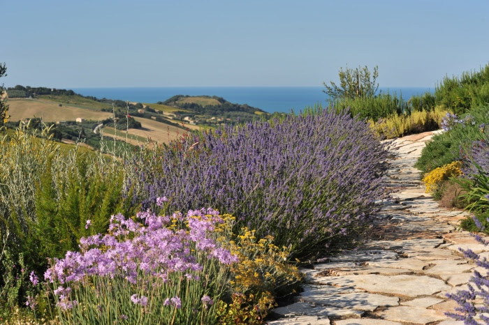 Fioriere in plastica per piante da interno set di 24 fioriere decorative modern. Un Giardino Mediterraneo Col Mare Sullo Sfondo Casa E Trend