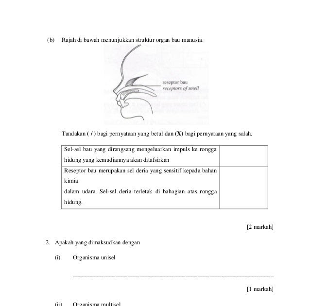 Contoh Soalan Kimia Tingkatan 4 Bab 2 - Contoh YY