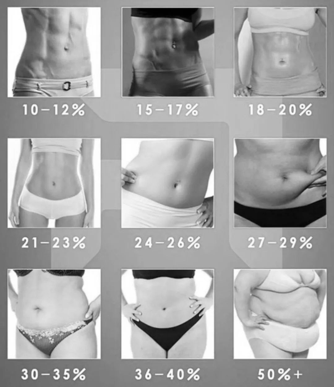 体脂肪率26 女性 ブログ ニュース