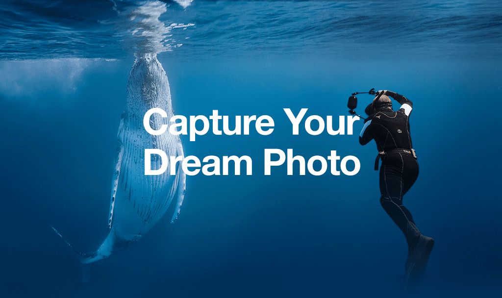 Enter Our Photography Contest to Make Your Dream Shot a Reality