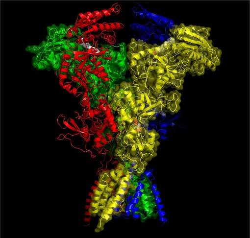 Mais importante receptor do cérebro é visto em 3D