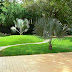 Landscape Designers Cheshire