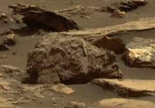 Robô da NASA flagra urso pardo fossilizado em Marte