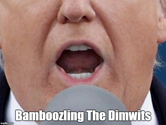 Image result for bamboozling the dimwits "pax on both houses"