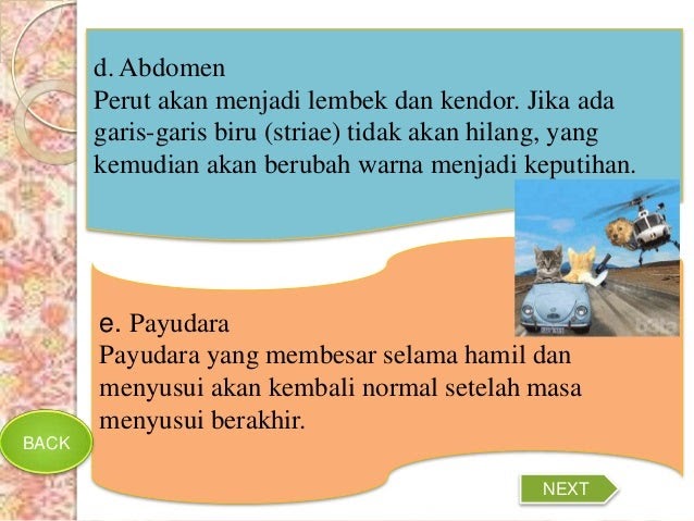 Ukuran Normal Uterus Setelah Melahirkan - Soalan bc