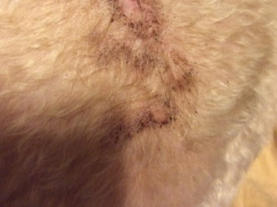 √70以上 old age spots pictures 325703-How do i get rid of old age spots