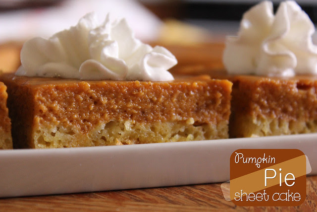 Pumpkin Pie Sheet Cake