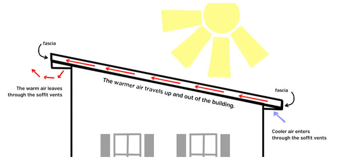 Shed Roof Construction Types