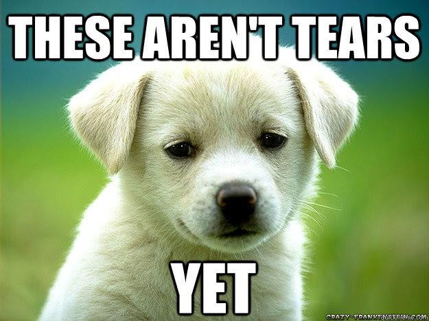 Sad Puppy meme.