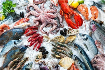 Seafood Month Intro