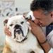 More on Pet Health From WebVet