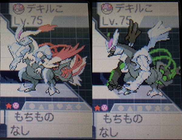 100 Epic Bestポケモン Bw2 キュレム 育成論 ディズニー画像のすべて