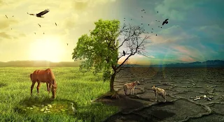 Bài diễn thuyết chấn động của thị trưởng thành phố Đài Bắc: Vinh hoa phú quý rồi cũng mất! - Ảnh 3.