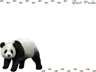 無料印刷可能パンダ イラスト リアル 動物ゾーン