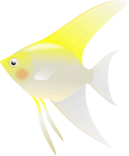 かわいい動物画像 無料ダウンロードエンゼルフィッシュ イラスト