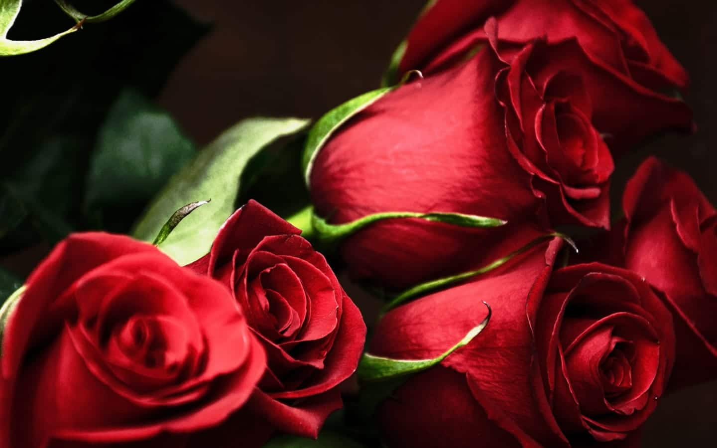 Mazzolino 31 rose rosse fiori e bellissimo mazzo di 100 rose rosse per regalare un mazzo. Immagini Rose Rosse Sfondi Hd 45 Foto Bonkaday Com