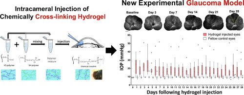 Graphical abstract for this article